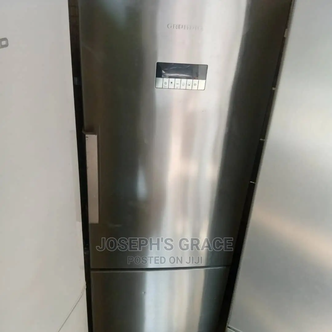 Grundic Fridge And Freezer