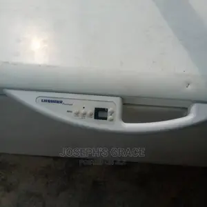 (600l) Liebherr Freezer