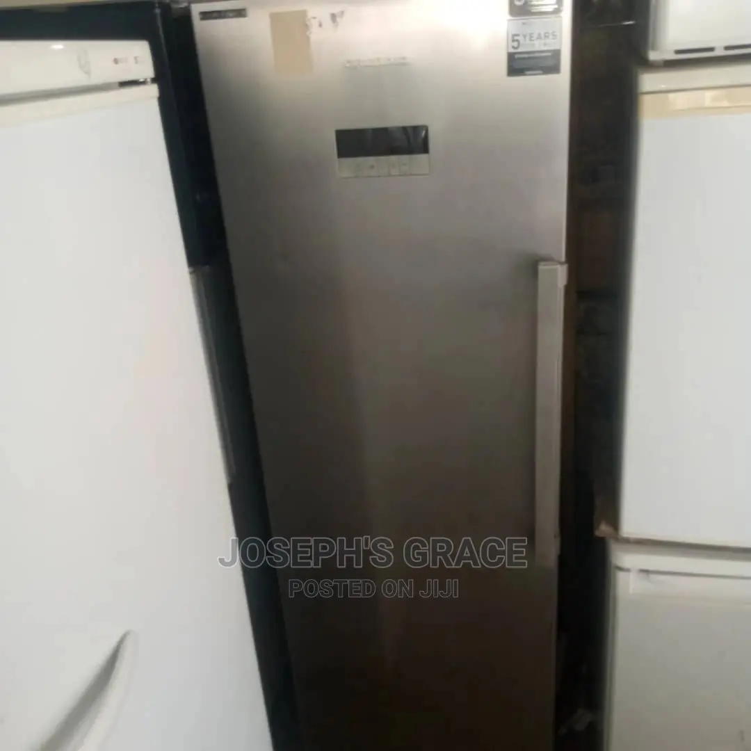Grundic Standing Freezer.
