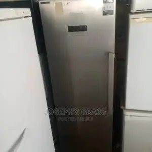 Grundic Standing Freezer.
