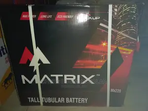 220a Matrix Tubular Battery