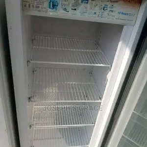 Supermarket Standing Display Chiller.