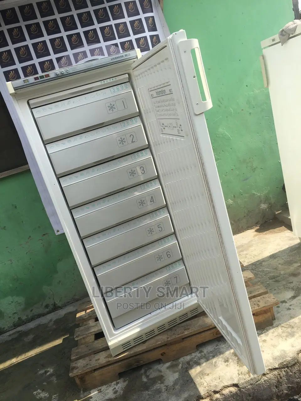 Liebherr Upright/Standing Freezer for Ice-Block