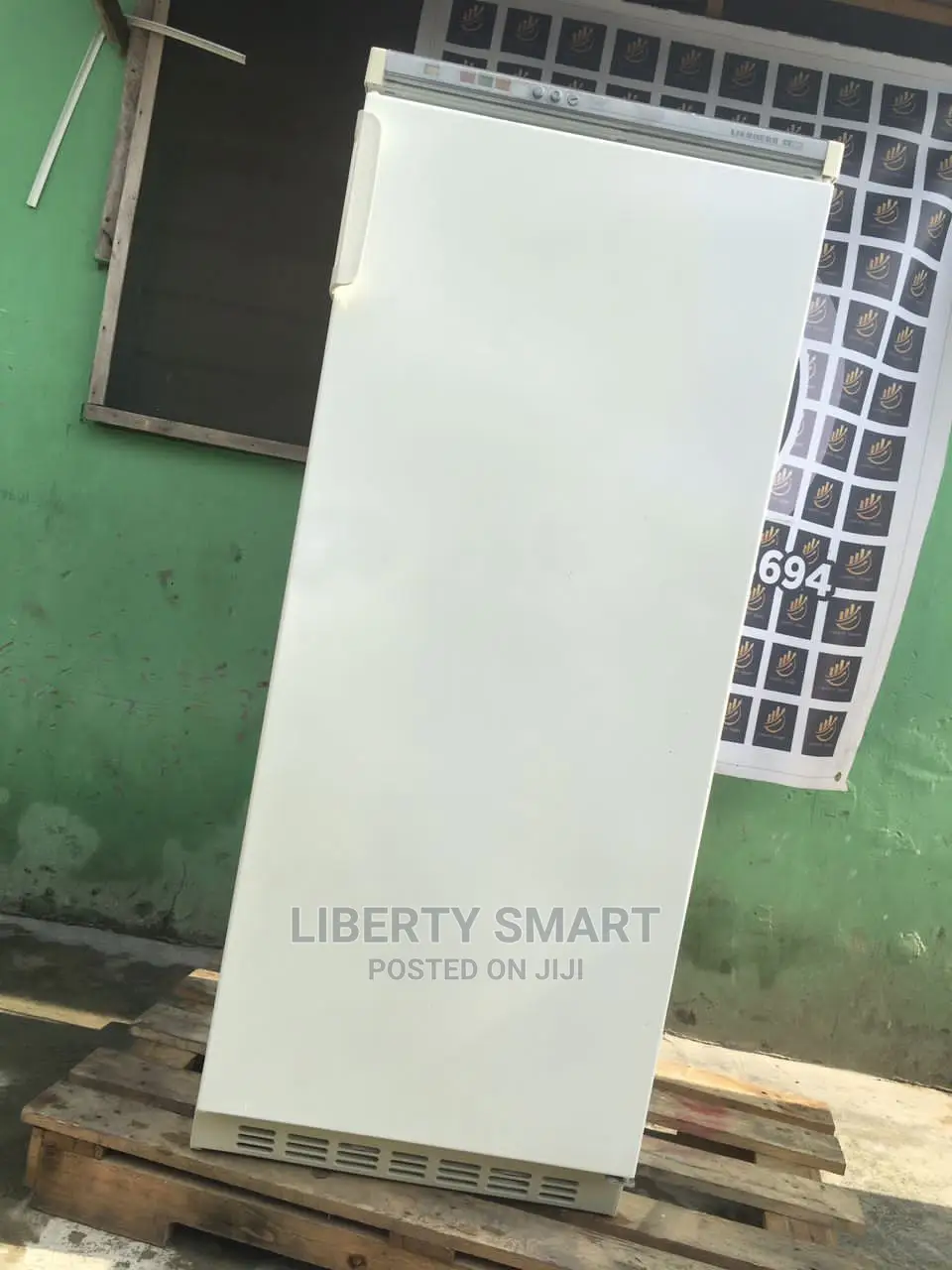 Liebherr Upright/Standing Freezer for Ice-Block