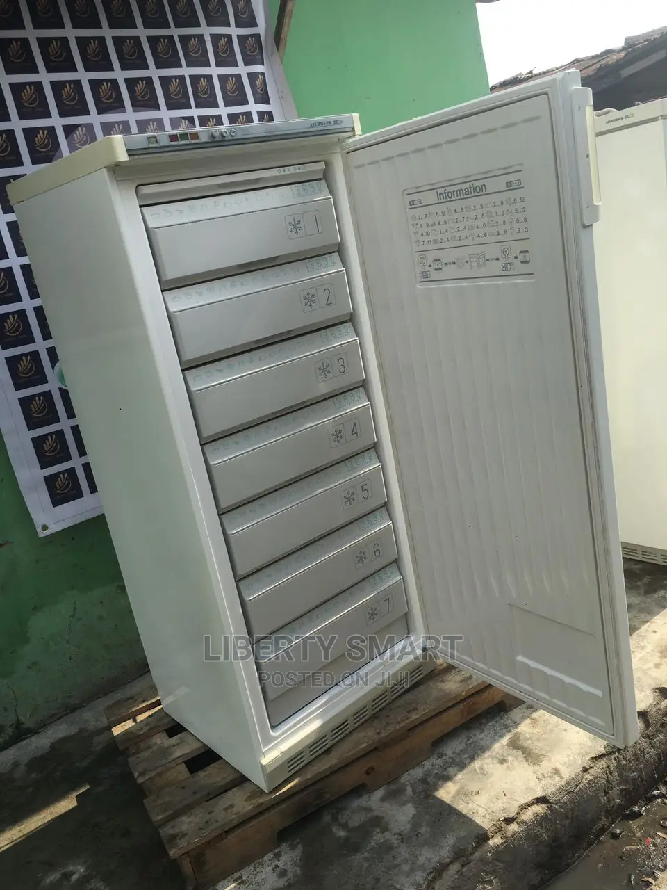 Liebherr Upright/Standing Freezer for Ice-Block