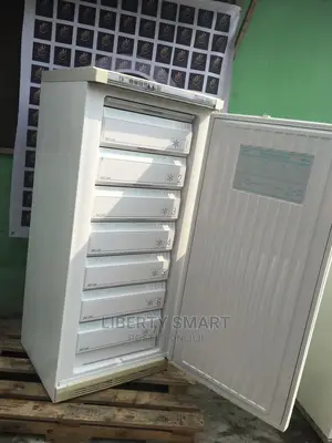 Liebherr Standing Freezer (Ice-Block)