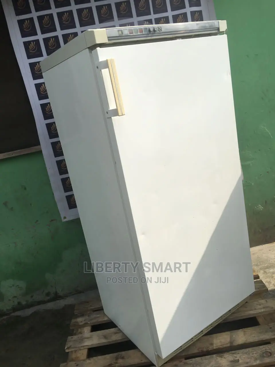 Liebherr Standing Freezer (Ice-Block)