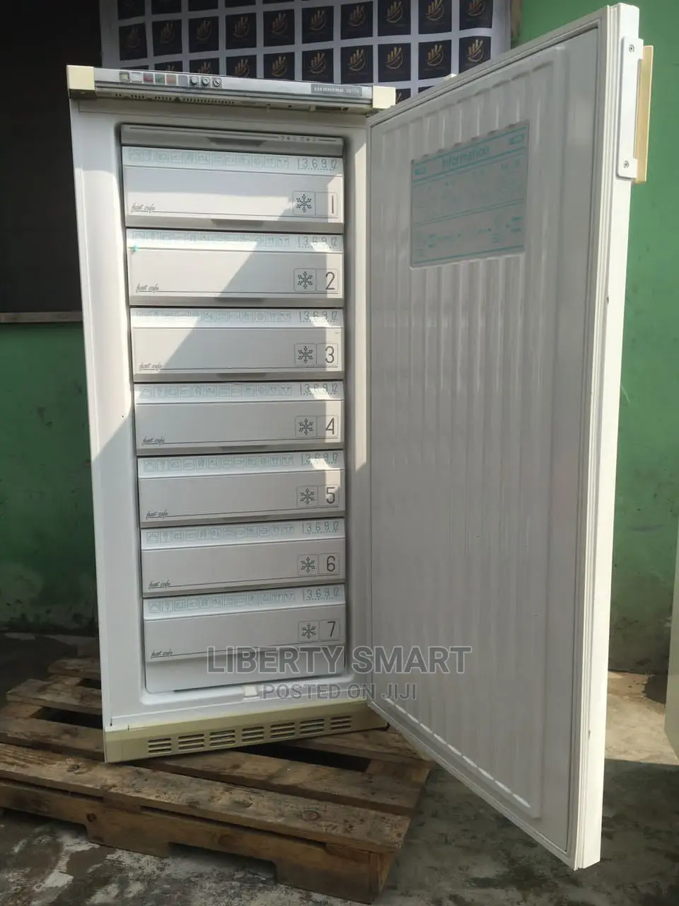 Liebherr Standing Freezer (Ice-Block)