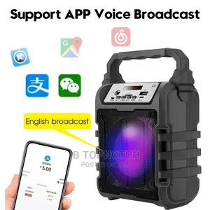 Portable Wireless Mic Speaker