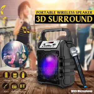 Portable Wireless Mic Speaker