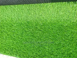 Best Quality Artificial Grass