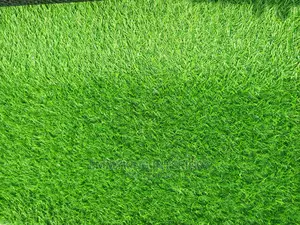 Best Quality Artificial Grass