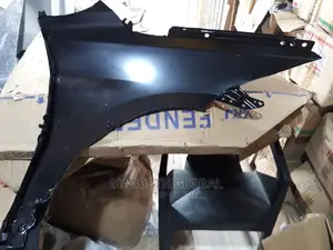 Fender for Hyundia Elantra 2016.