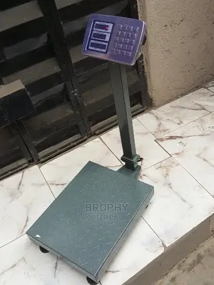 High Quality Digital Scale 300kg