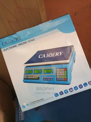 Digital Electronic Pricing Scale