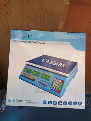 Digital Electronic Pricing Scale