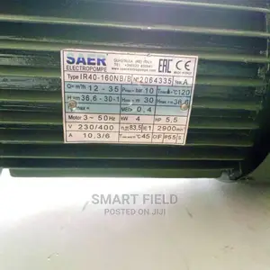 Sear Surface Water Pump
