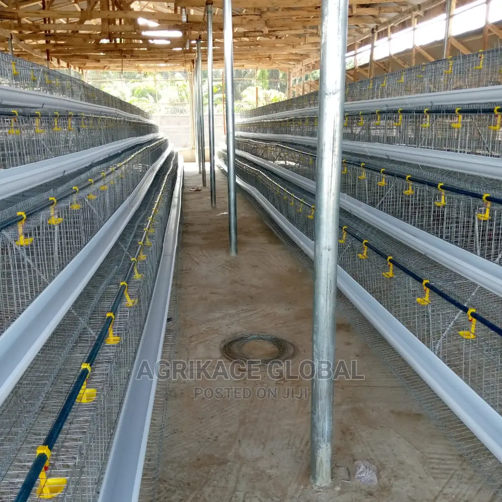 96 Birds Capacity Premium Layers Cage