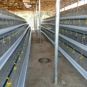 96 Birds Capacity Premium Layers Cage