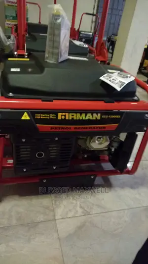 Firman Generator Eco12990es