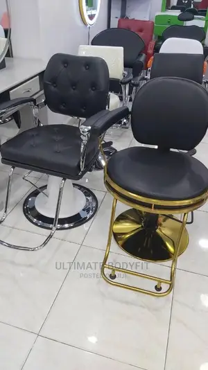 Brand New Hydraulic Beauty Stylist Salon Chair
