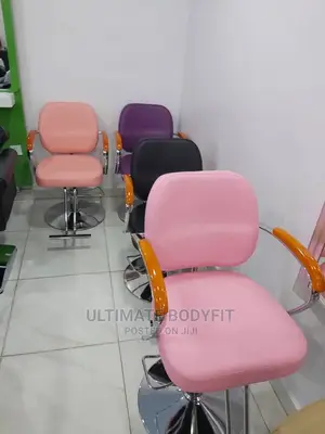 Brand New Salon Chair