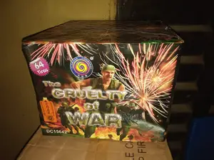Fireworks for Your Christmas and New Year.