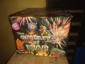 Fireworks for Your Christmas and New Year.