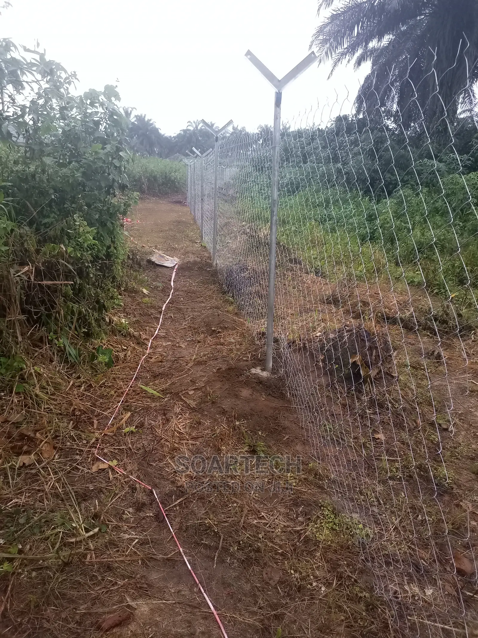 Barb Wire And Chain Link Fencing