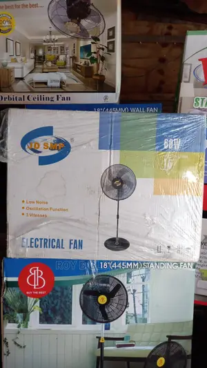 Electric Standing Fan