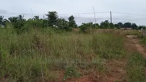 Photo - 4m Per Plot With C of O.