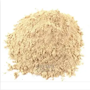 Lions Mane Mushroom Powder - 100g