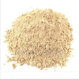 Premium Lion's Mane Mushroom Powder - 100g