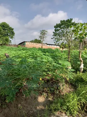 1 Plot of Land at Aguoka Near Wonder Land for Sale