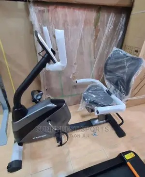 Commercial Recumbent Bike
