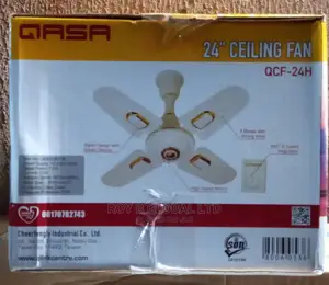 Qasa 24" Ceiling Fan