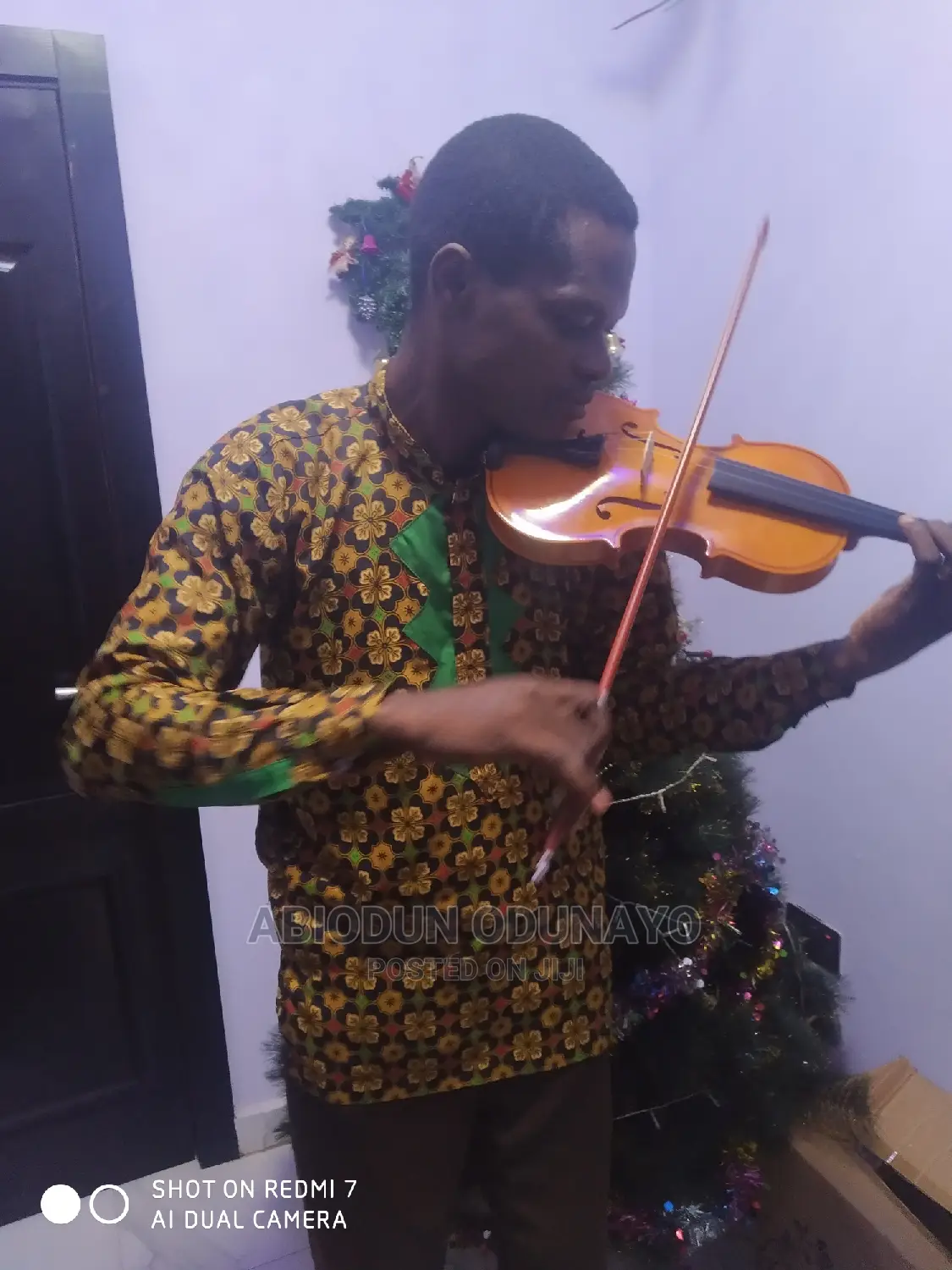 Violin Professional Tutor