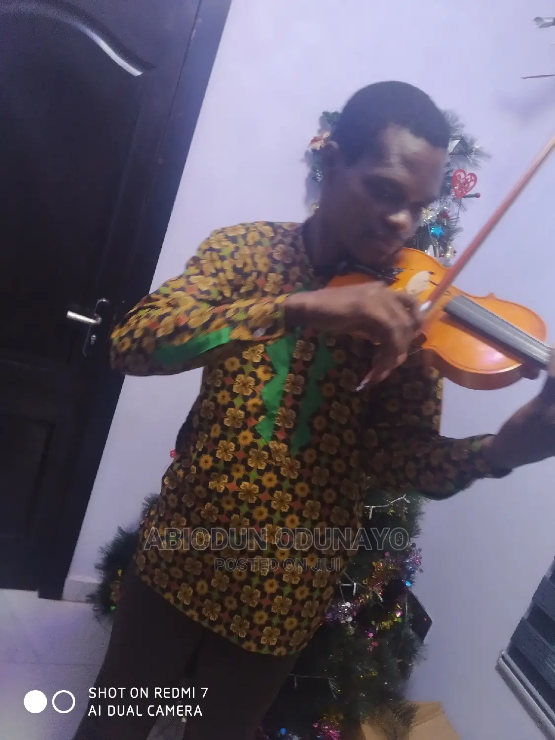 Violin Professional Tutor
