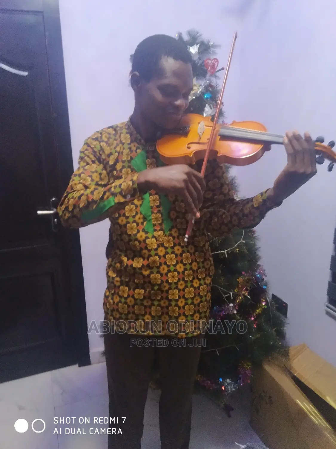 Violin Professional Tutor