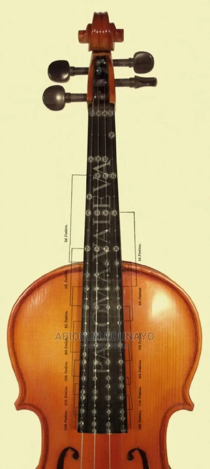 Violin Professional Tutor