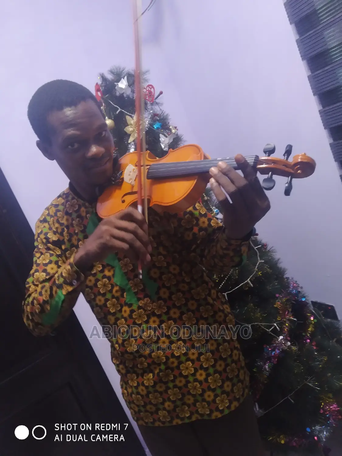 Violin Professional Tutor