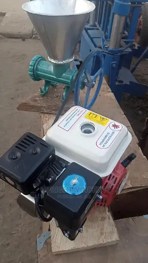 Fish Feed Pelletizing Machine