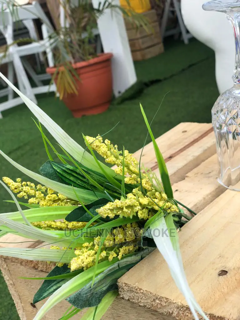 Original Turkey Grass
