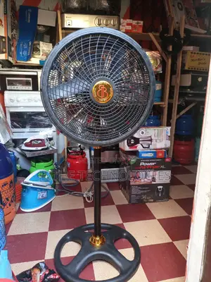 Standing Fan