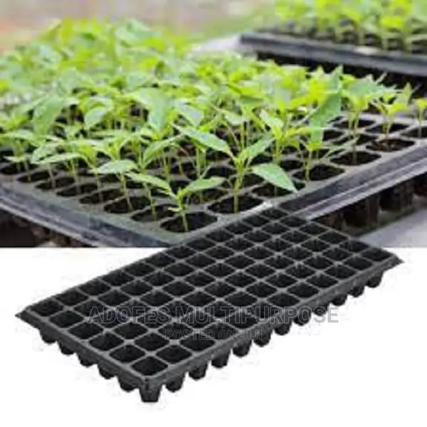 Seed Tray For Nursery 105 Holes