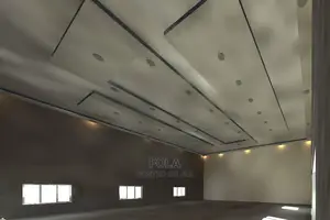 Gypsum Board Ceiling Services/Wall Screeding