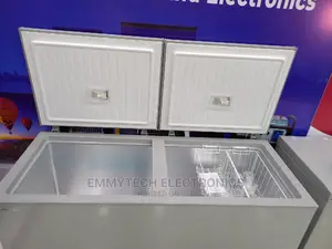 Hisense Double Door Deep Freezer