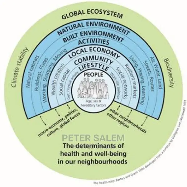 Environmental Impact Assessment
