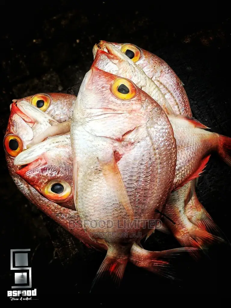 Seafood: Lady Fish