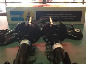 Ford Ecosport Shock Absorber